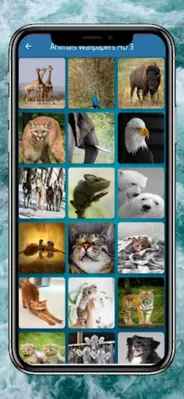 Animals Wallpapers HD android App screenshot 0