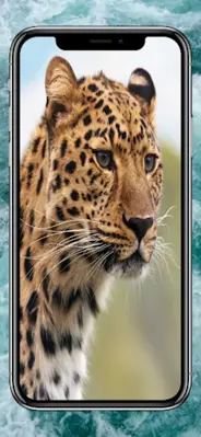 Animals Wallpapers HD android App screenshot 4